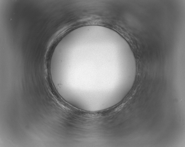 X0000072490245200608111609