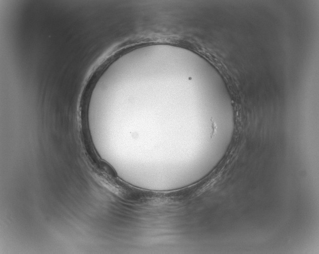 X0000072490246200608111609