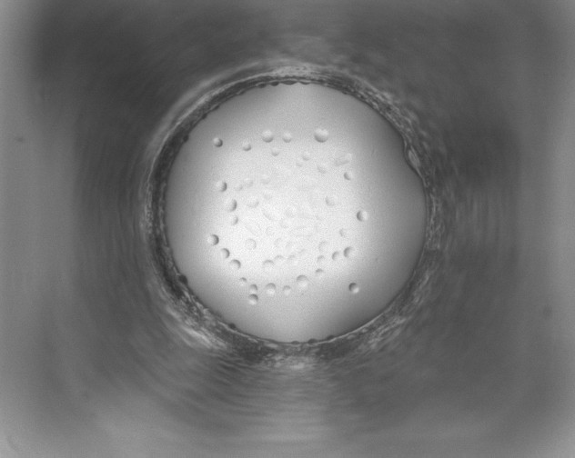 X0000072490247200608111609