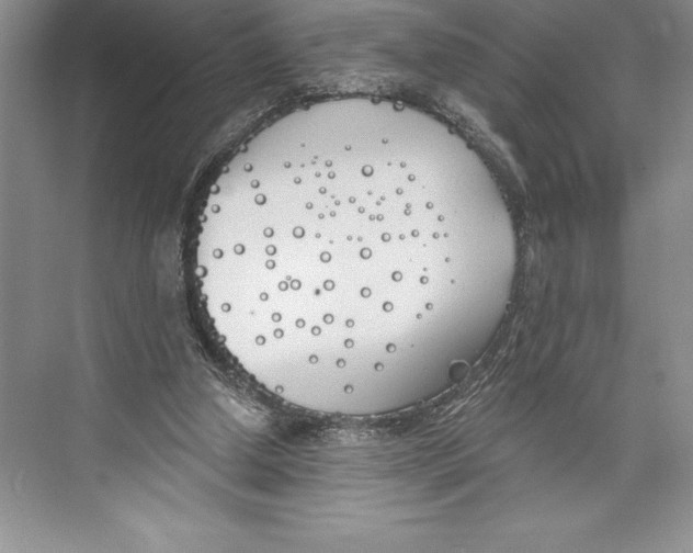 X0000072490250200608111609