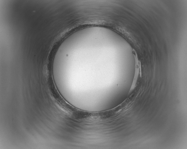 X0000072490252200608111609