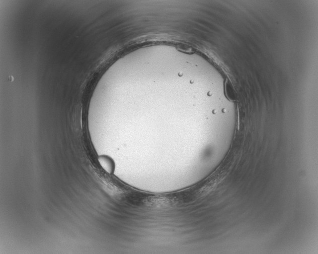 X0000072490253200608111609