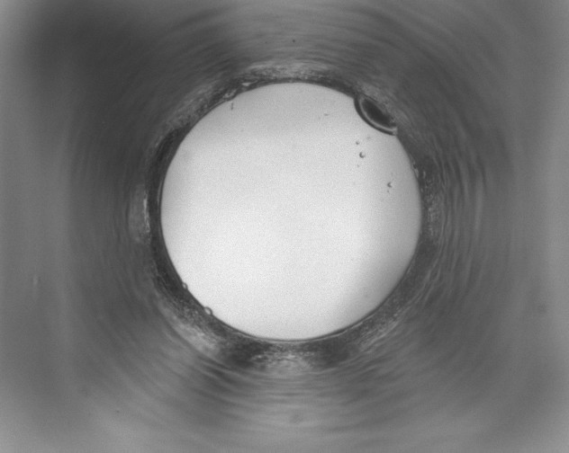 X0000072490254200608111609