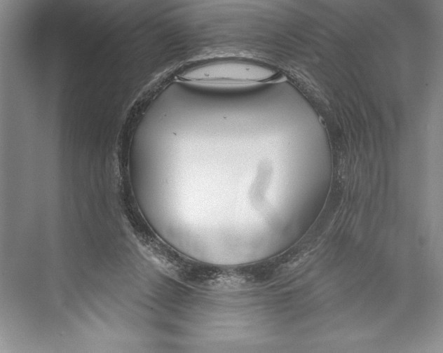 X0000072490256200608111609