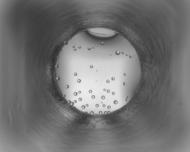 X0000072490258200608111609