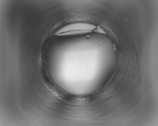 X0000072490260200608111609