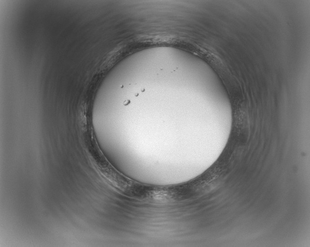 X0000072490264200608111610