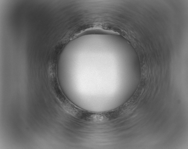 X0000072490272200608111610