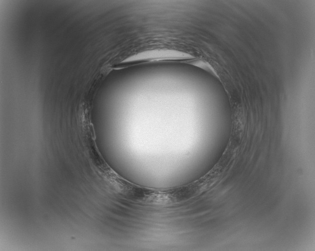 X0000072490276200608111610