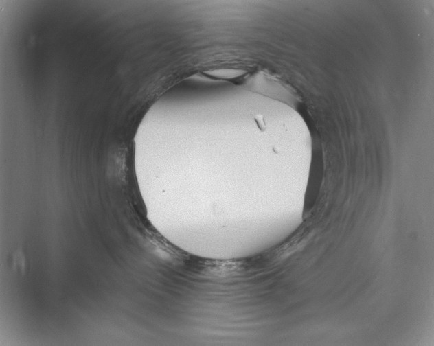 X0000072490288200608111610