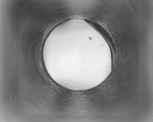 X0000072490289200608111609