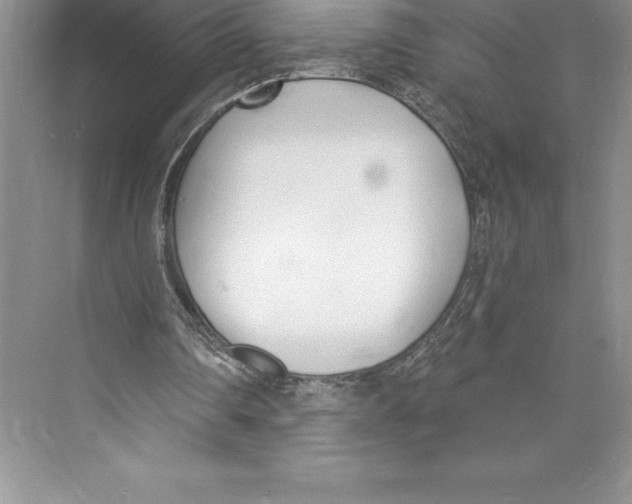 X0000072490290200608111609