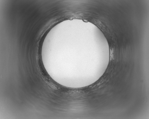 X0000072490291200608111609