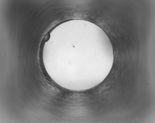 X0000072490292200608111609