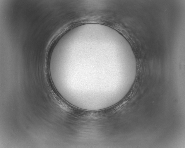 X0000072490293200608111609