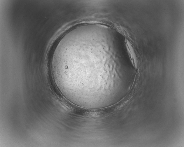 X0000072490295200608111609