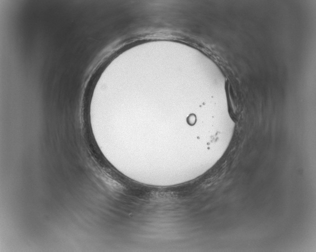 X0000072490296200608111609