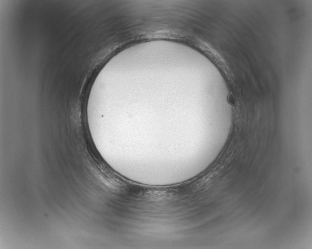 X0000072490298200608111609