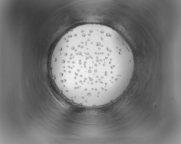 X0000072490299200608111609