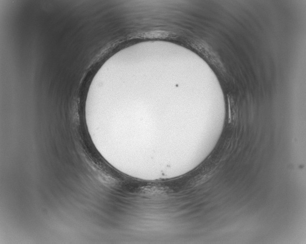 X0000072490300200608111609