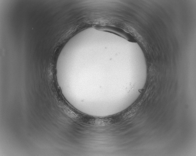 X0000072490305200608111609