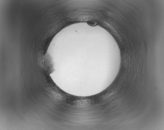 X0000072490307200608111609