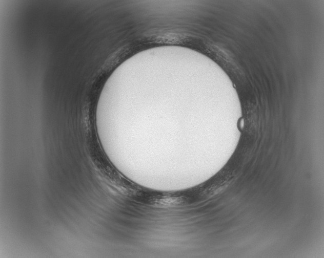 X0000072490312200608111609