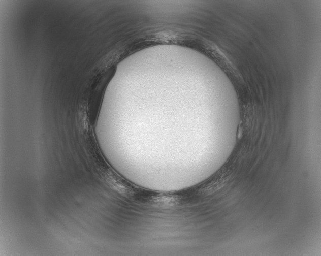 X0000072490313200608111609