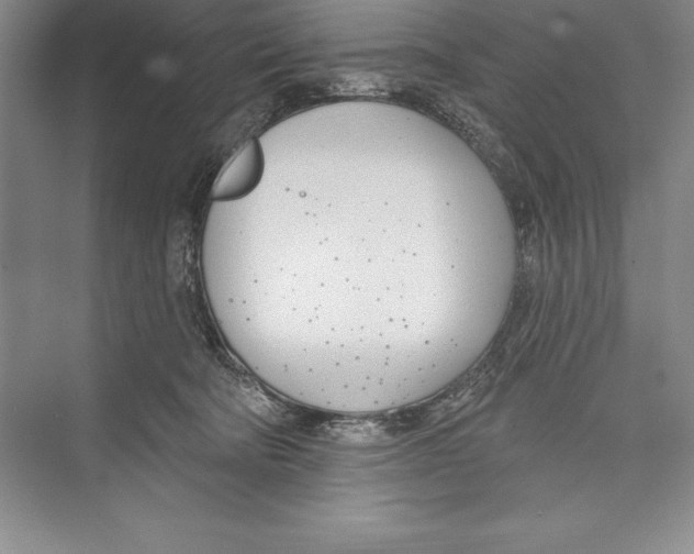 X0000072490322200608111609