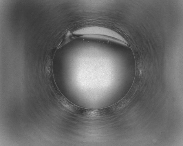 X0000072490325200608111609