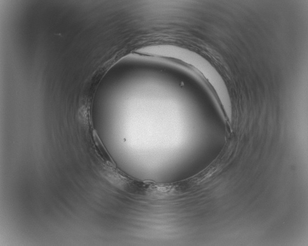 X0000072490329200608111608