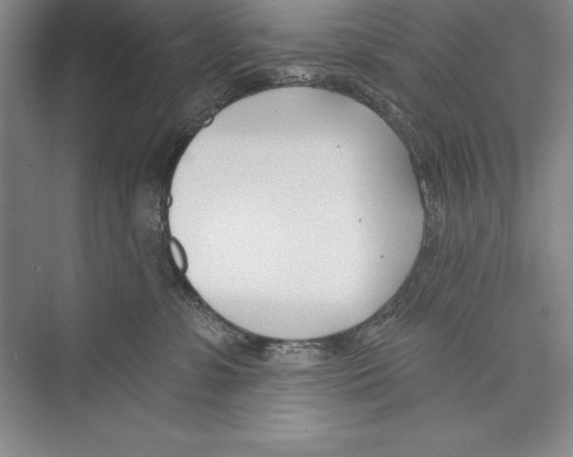 X0000072490331200608111608