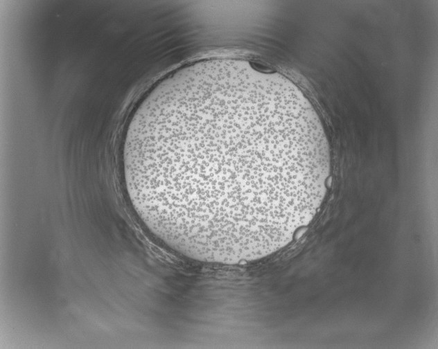 X0000072490337200608111608