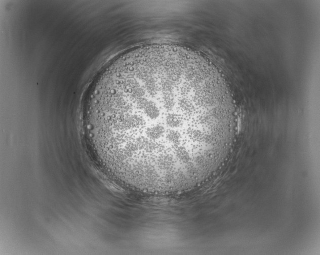 X0000072490339200608111608