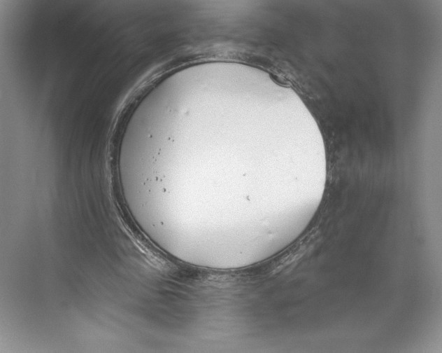 X0000072490341200608111608