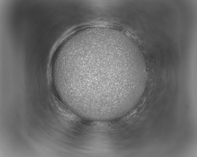 X0000072490343200608111608