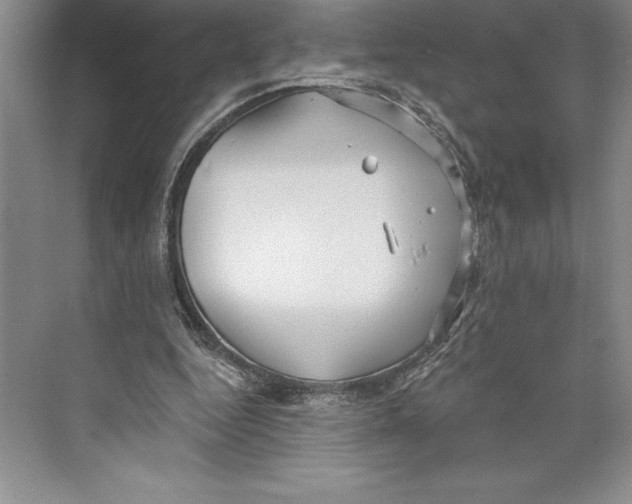 X0000072490344200608111608