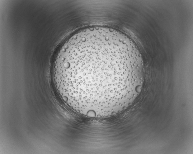 X0000072490346200608111608