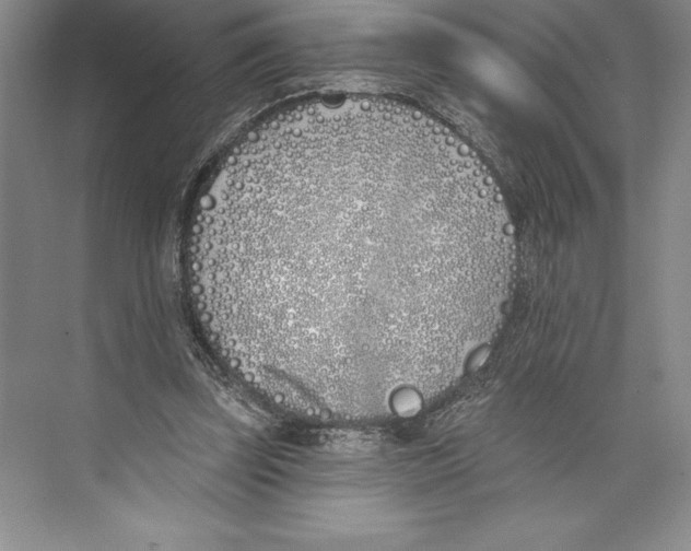 X0000072490347200608111608