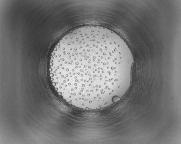 X0000072490349200608111608