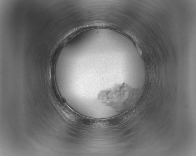 X0000072490350200608111608