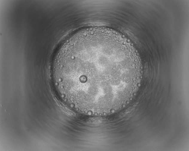 X0000072490351200608111608