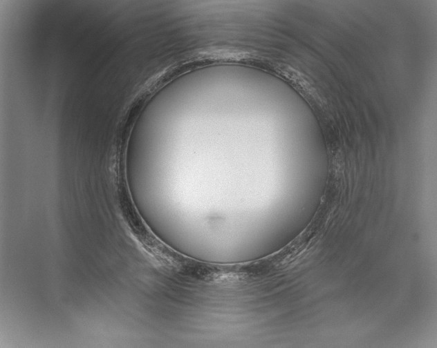 X0000072490352200608111608