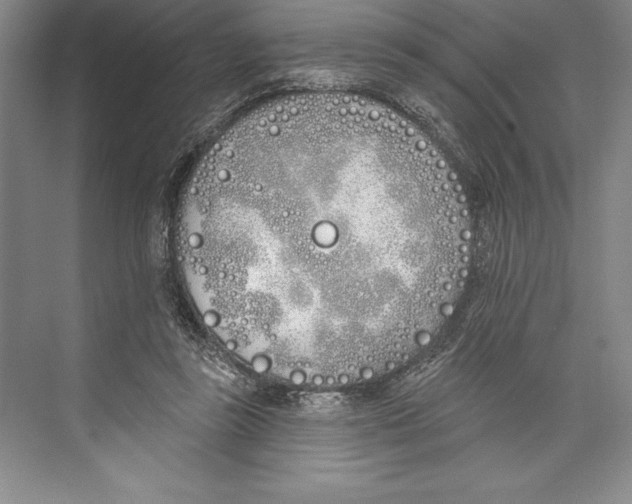 X0000072490355200608111608