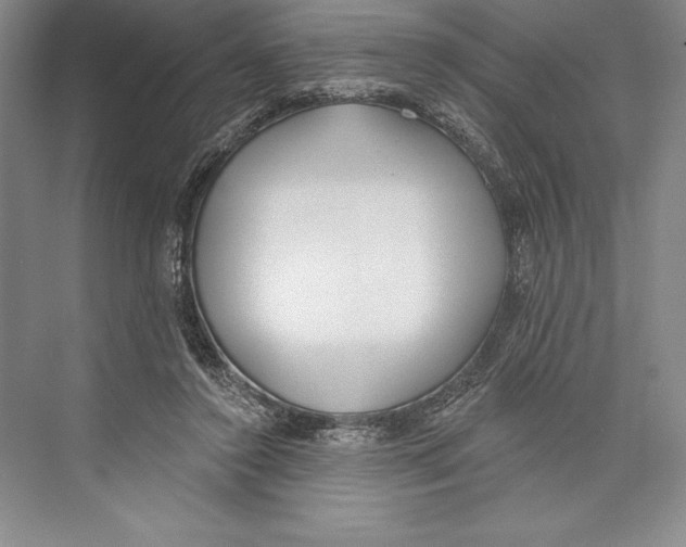 X0000072490356200608111608