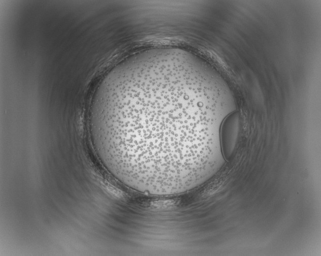 X0000072490357200608111608