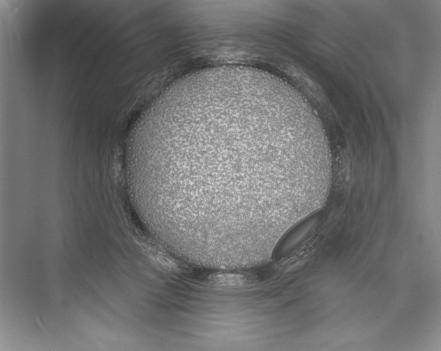 X0000072490361200608111608