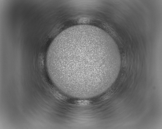 X0000072490363200608111608