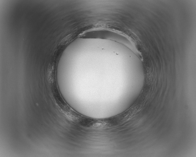 X0000072490364200608111608