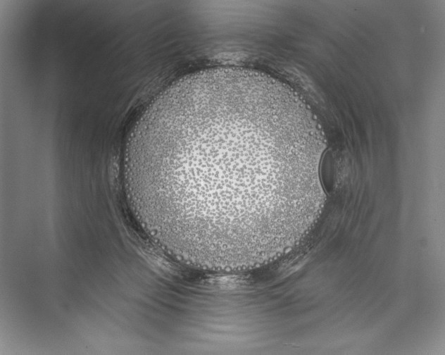 X0000072490365200608111608